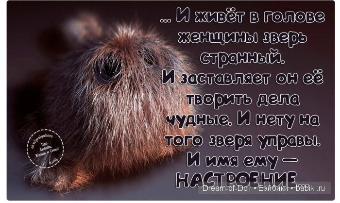 Алиса (Вышивка крестом) 15 способов как плести фенечки (2 видео 200 фото Лучшие)