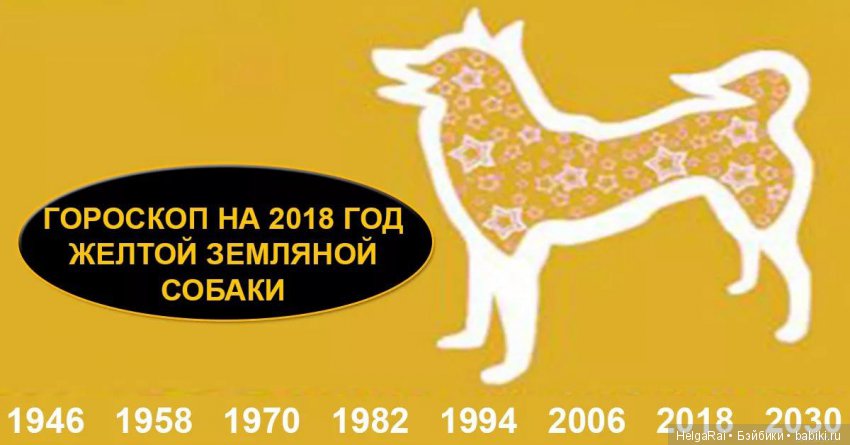 29.05.2018 | Год собаки 2018 29.05.2018 | Год собаки 2018