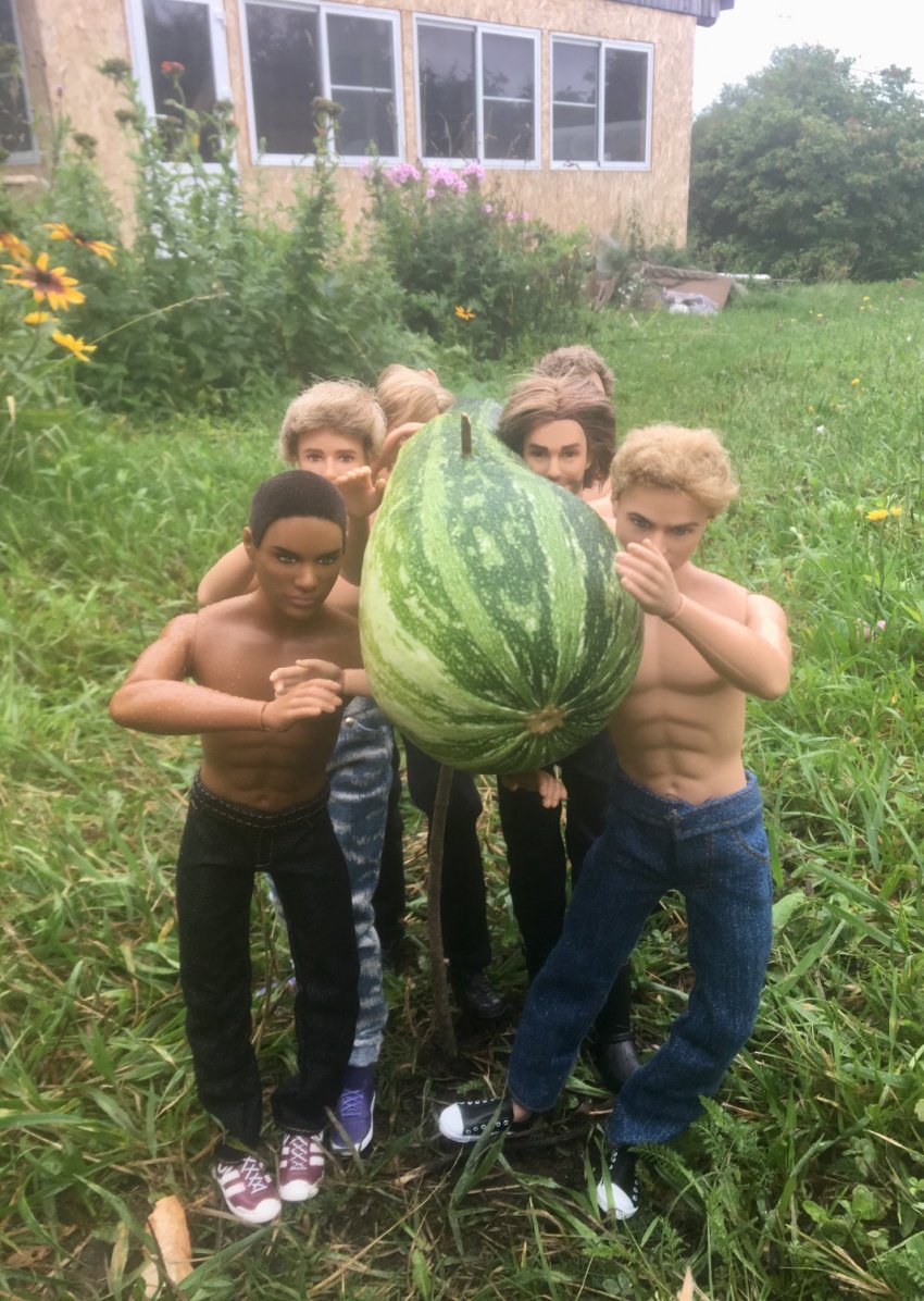 Фотоконкурс: "Что я несу?", литературный: "Моя самая-самая кукла". Авторские конкурсы: Лучшая кукла реборн, мебель и наряд