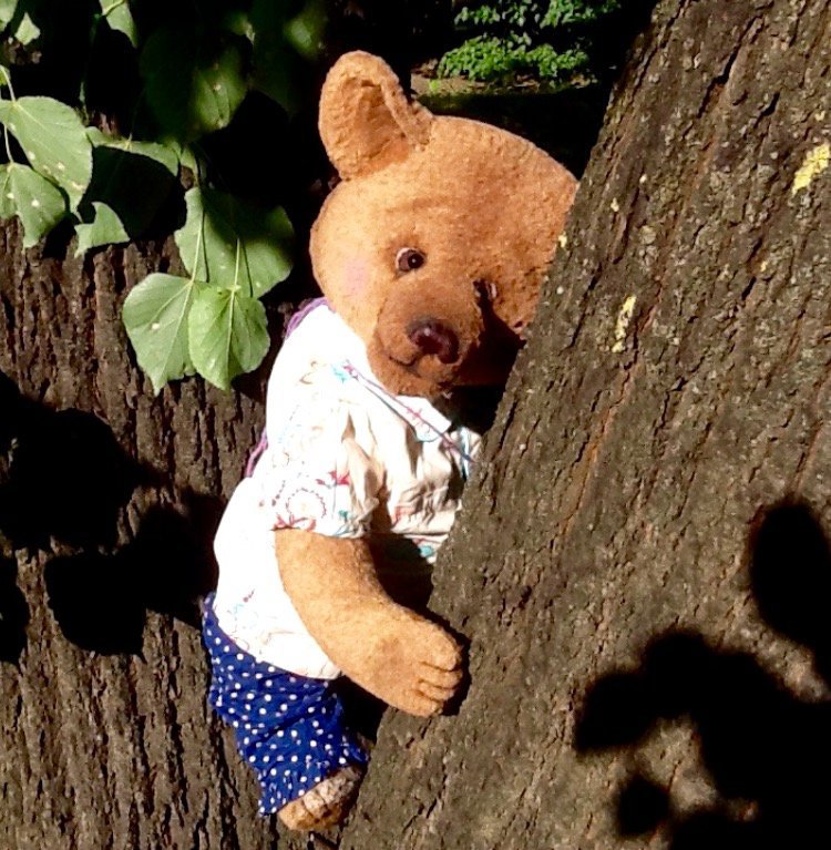 хелло тедди выставка. медведь в тверской области. мишка под полкой. мишка плюшевый кремовый. сколько стоит мишка.