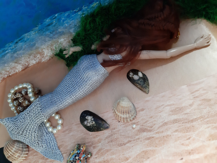 contest photo