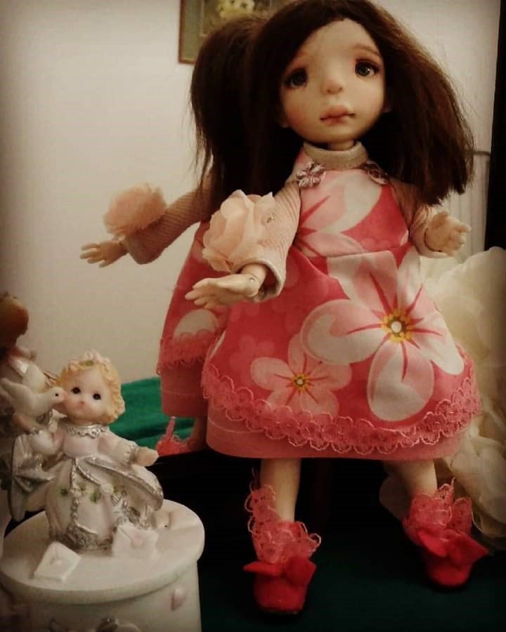 contest photo