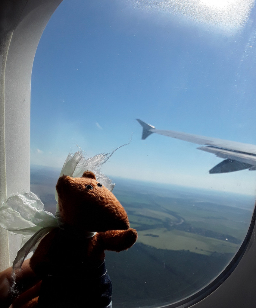 contest photo