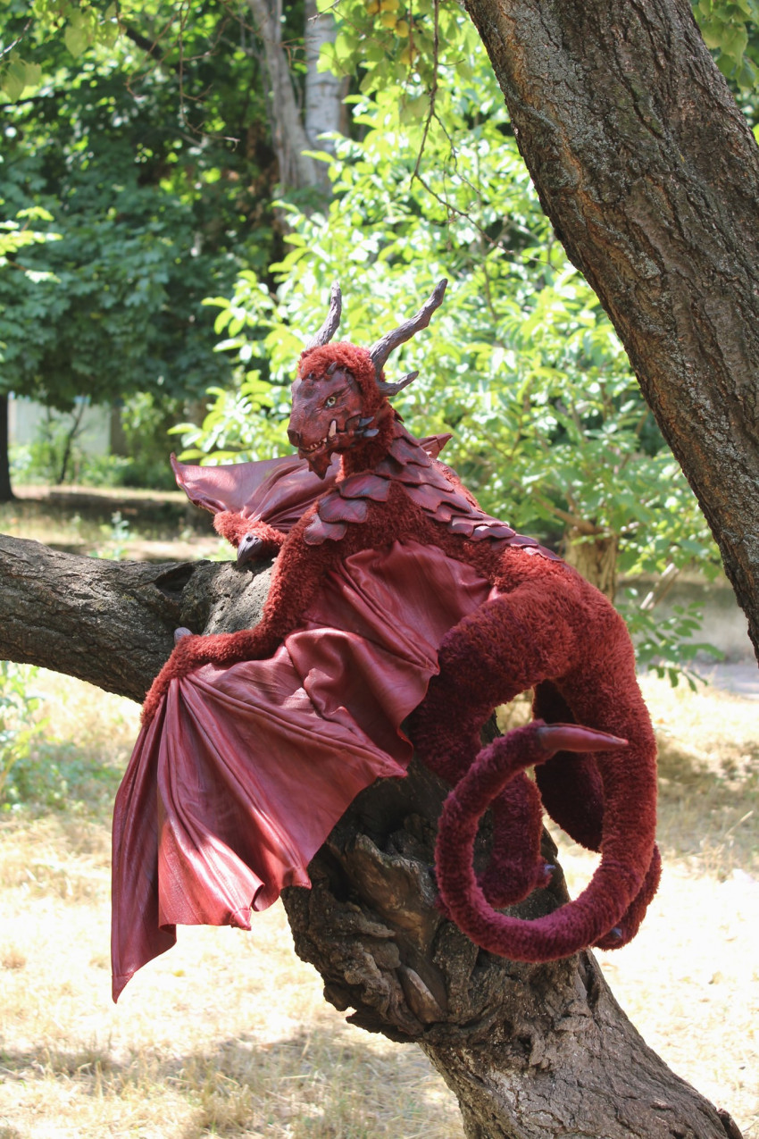 contest photo