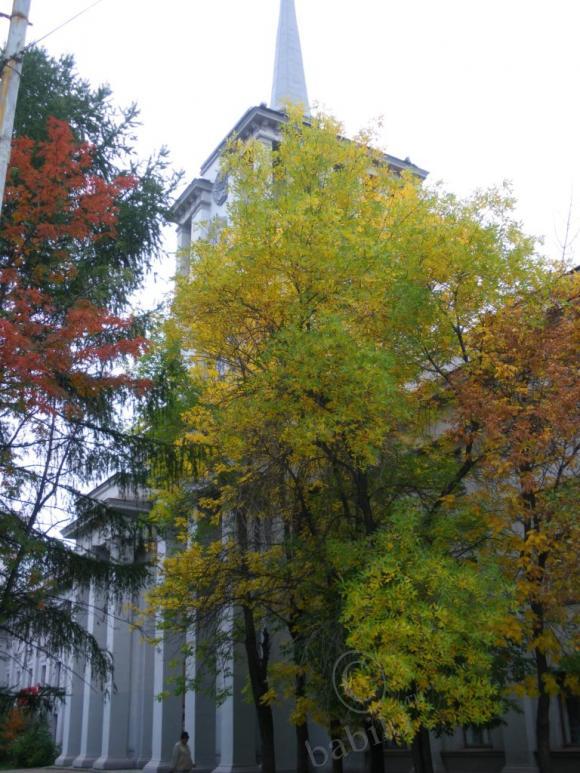 Несколько коротких мгновений, или Есть в осени первоначальной… | Бэйбики Несколько коротких мгновений, или Есть в осени первоначальной… (фото 5)