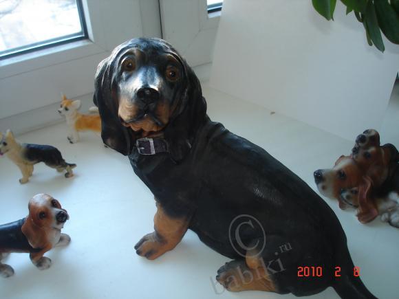 Вот такие собачки живут у меня дома