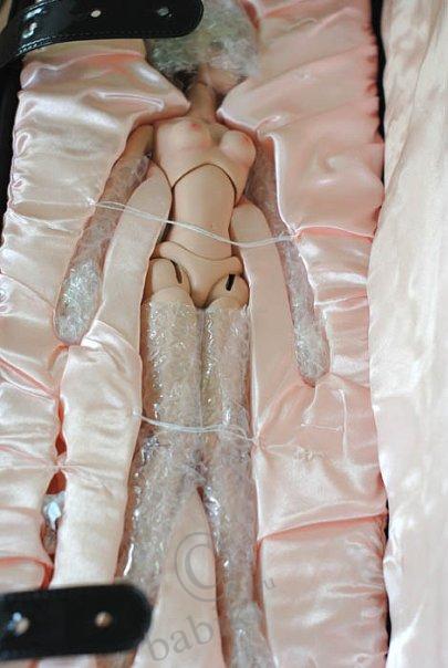 Сибарит Маверик - моя первая Сиба (фото 4)