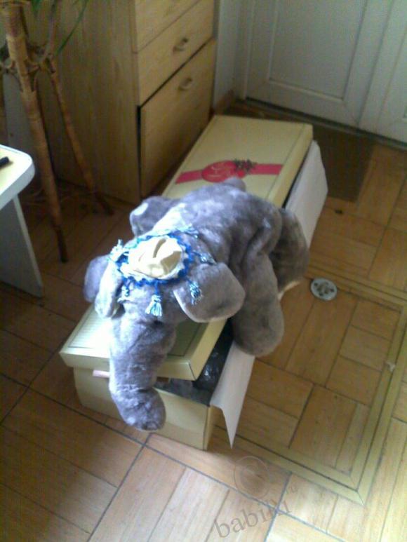 Как только ты приехала... Ella от Christine Orange