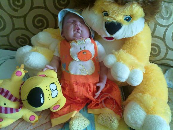 Отдохнувшие после долгого путешествия, решили пофотографироваться (фото 4)