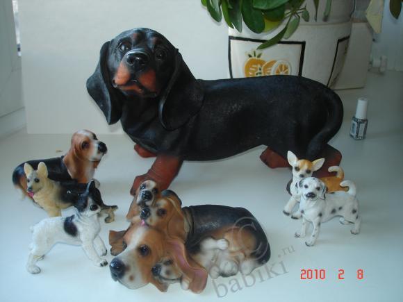 Вот такие собачки живут у меня дома (фото 3)