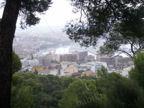 Пять часов в Пальма-де-Майорка (фото 2)