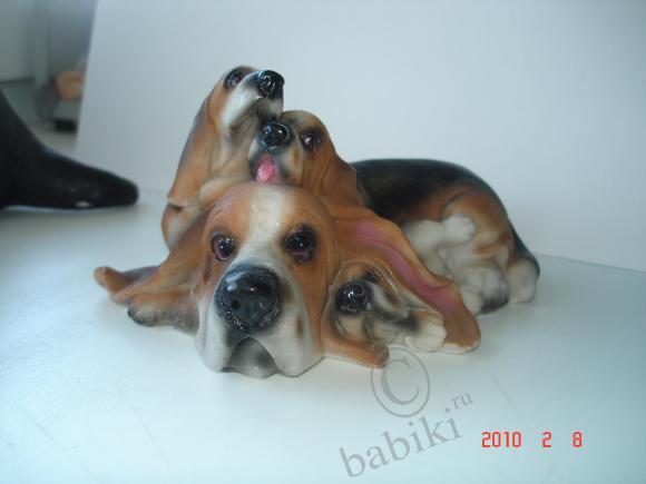 Вот такие собачки живут у меня дома (фото 5)