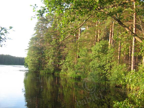 И снова мы и наши пейзажи (мои малыши реборн ) | Бэйбики И снова мы и наши пейзажи (мои малыши реборн ) (фото 9)