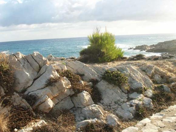 Еще раз о Майорке — Туризм и путешествия: фотоотчеты из поездок