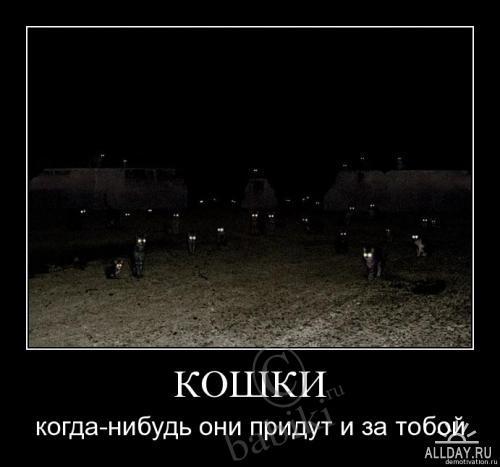 Позитифф!! Прибавила еще — Болталка и разговоры обо всем: жизнь