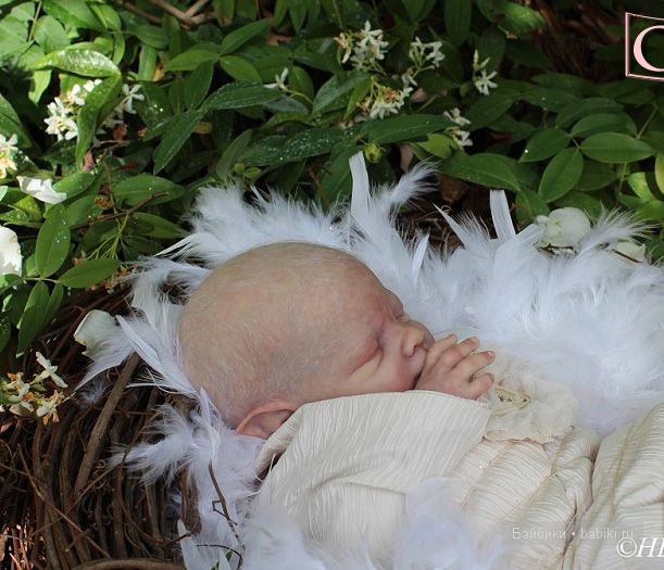 Малыши реборн эльфики - молды от Shawna Clymer