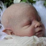 Малыши реборн эльфики - молды от Shawna Clymer