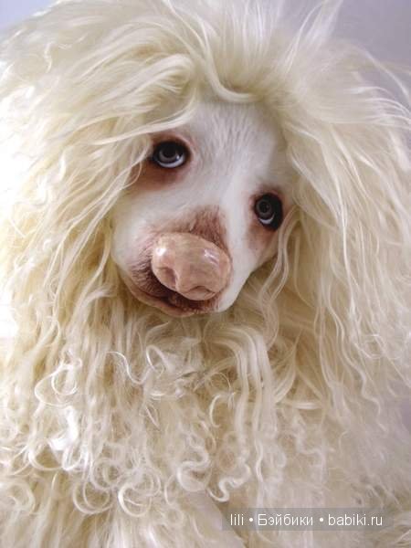 Авторские медведи и не только от Jo Nevill