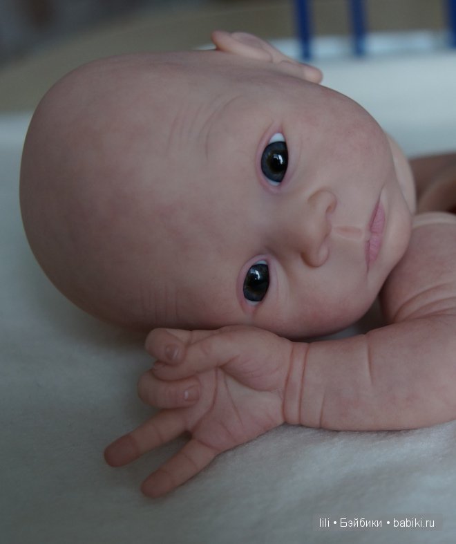 Тереза реборн