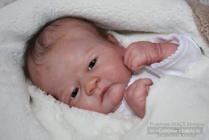 Новый молд  Macy от Toby Morgan