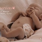 Новый молд для куклы реборн Americus от скульптора Laura Lee Eagles