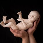 Молд для куклы реборн Max от скульптора Cindy Musgrove