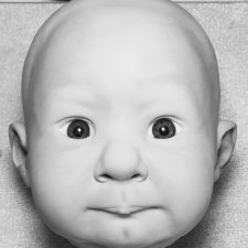 Новые малыши от Jessica Schenk