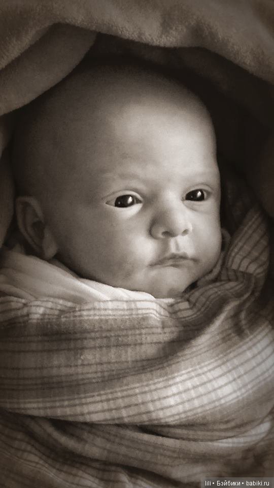 Новый молд Malea от Gudrun Legler (фото 2)