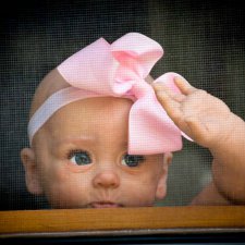 Новый тоддлер у Andrea Arcello