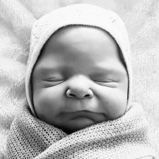 Малыши Cassie Ann Brace