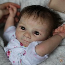 Молд Феликс