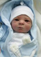 автор кукол реборн Елена Киприянова