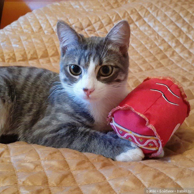 «Атмосфера творчества 2017». Благотворительный Мяу-Бутик Pret-a-Kote станет участником выставки (фото 4)