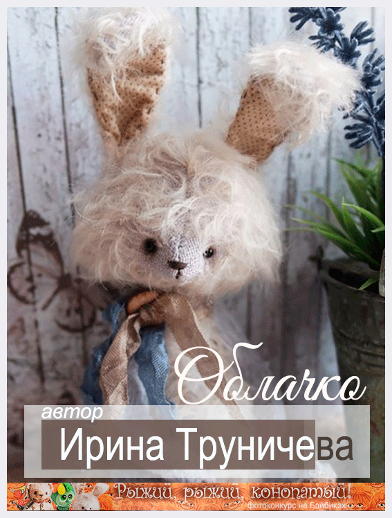 Фотоконкурс 7 - 27/4 2017. Рыжий, рыжий, конопатый!