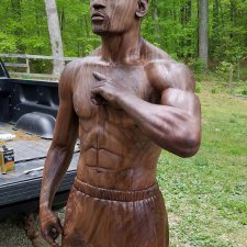 Флойд Мейвезер в дереве