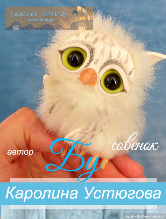 Приз за 2 место в кукольном конкурсе на Бэйбиках
