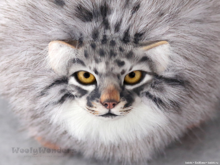 Интервью с автором игрушек — Ольгой Крыничной