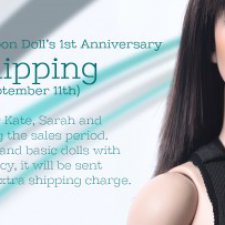 Raccoondoll исполнился один год и в честь этого они по 11 сентября дают бесплатную доставку на Кэйт, Сару и Люсю