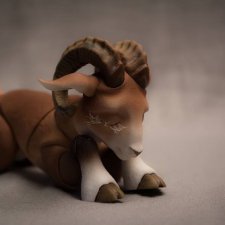 У eve dolls скоро появится новая козочка