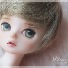 Bluefairy скоро будут продавать:MF Minimay - open mouth, MF Minimay - closed mouth; MF Annie, Anna 1st