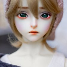 Sio 2 doll продают Йорка с 27 ноября по 27 декабря