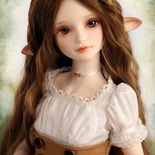 Iplehouse продают Фелин