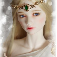 Iplehouse продают Leda