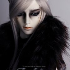 IRBIS от SOOM