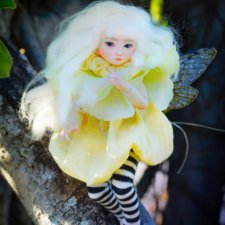 Dream High Studio - FINCH the fairy