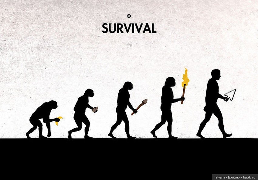 20 карикатур об эволюции — Живопись и графика: творчество художников