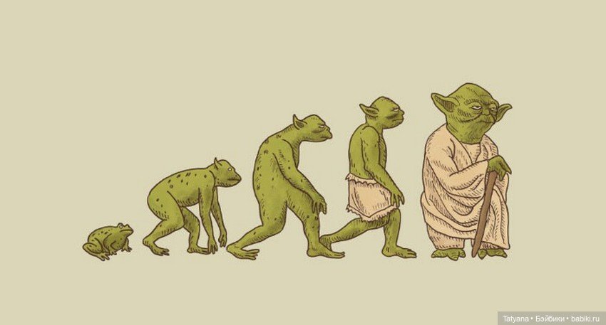 20 карикатур об эволюции — Живопись и графика: творчество художников