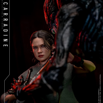 Hot Toys- фигурка Рэйн Каррадин