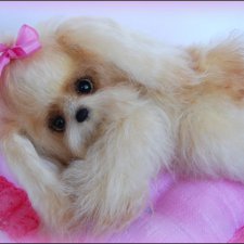 Собачка Бетти с выкройкой игрушки от Екатерины Беспаловой