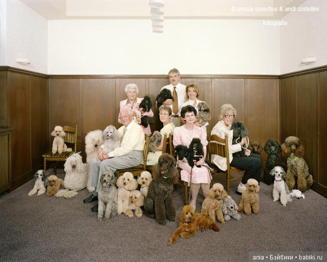 Клубы по интересам — Интересное и необычное: фотоподборки